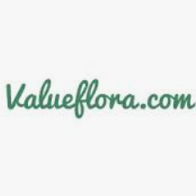 Shein Shoes Discount Codes